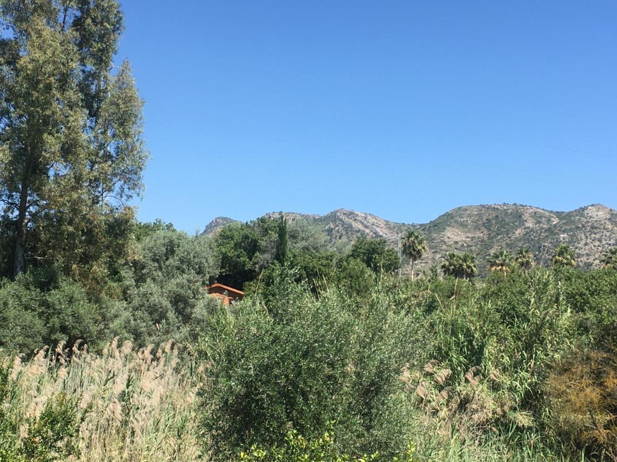 Finca Fahala Cártama Exteriér fotografie