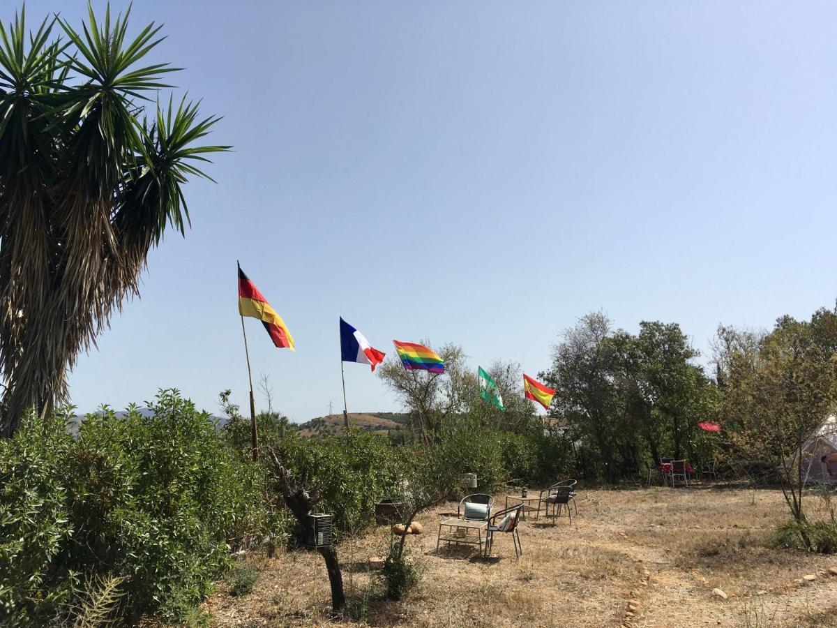 Finca Fahala Cártama Exteriér fotografie