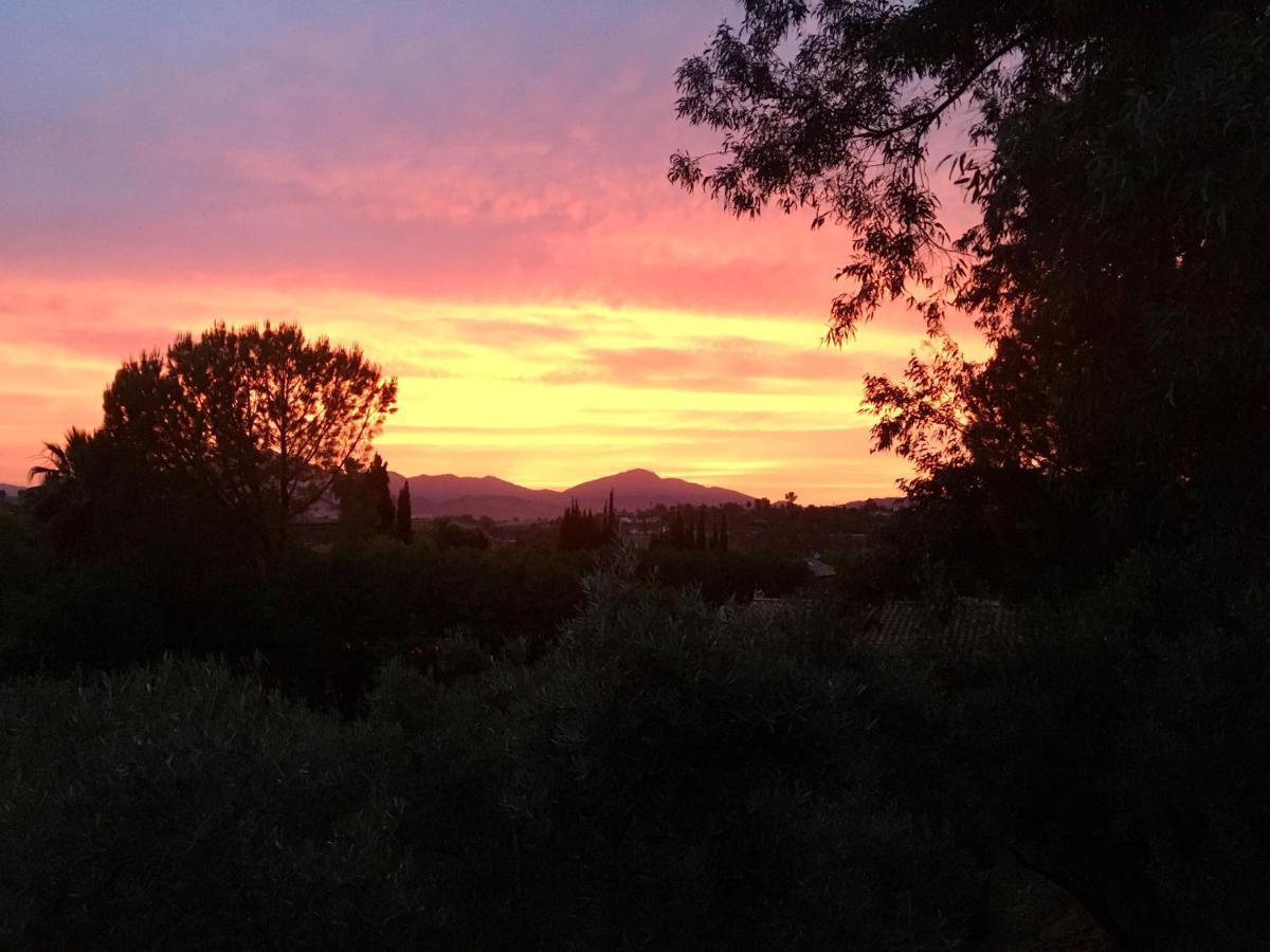Finca Fahala Cártama Exteriér fotografie