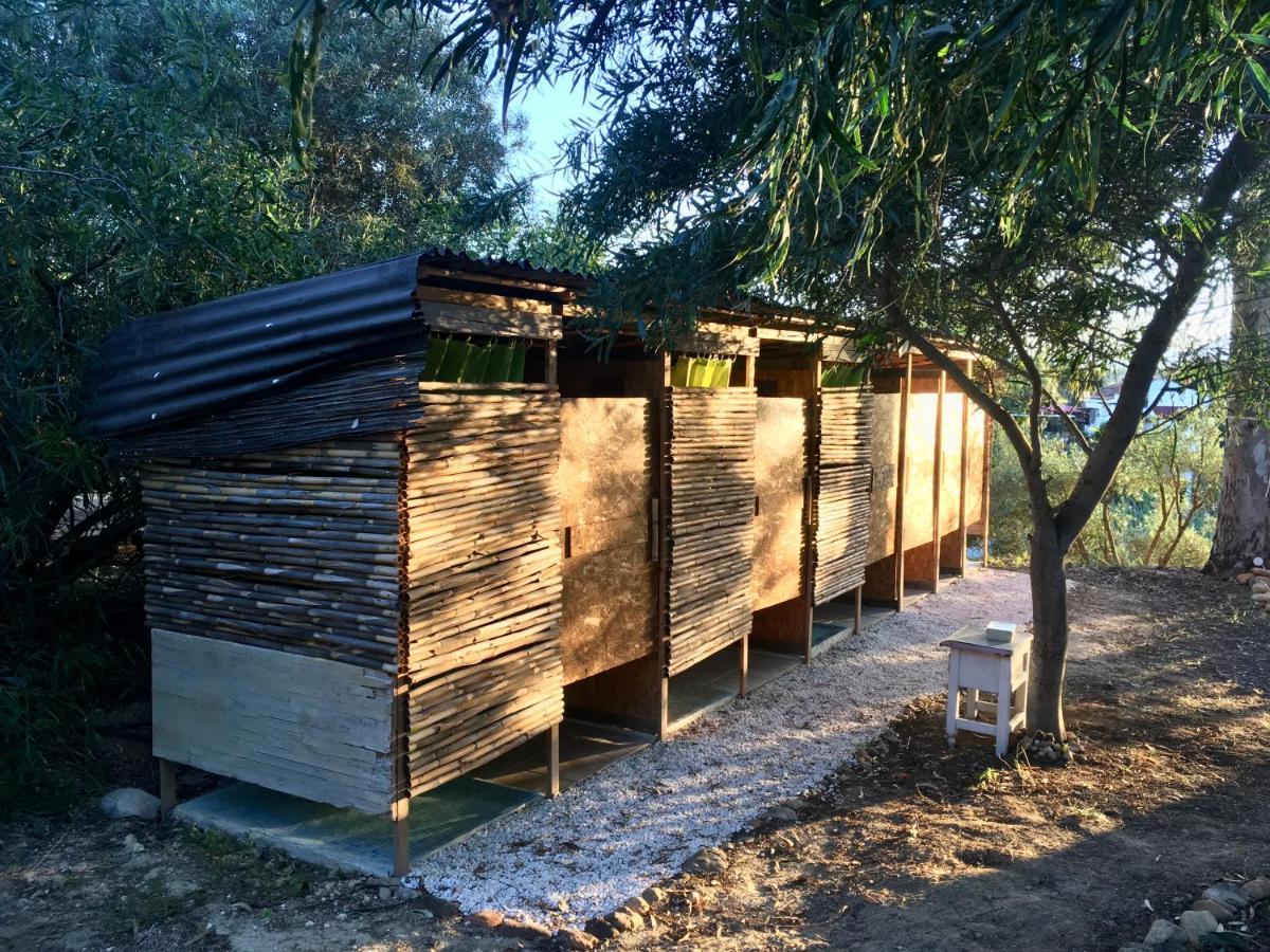 Finca Fahala Cártama Exteriér fotografie