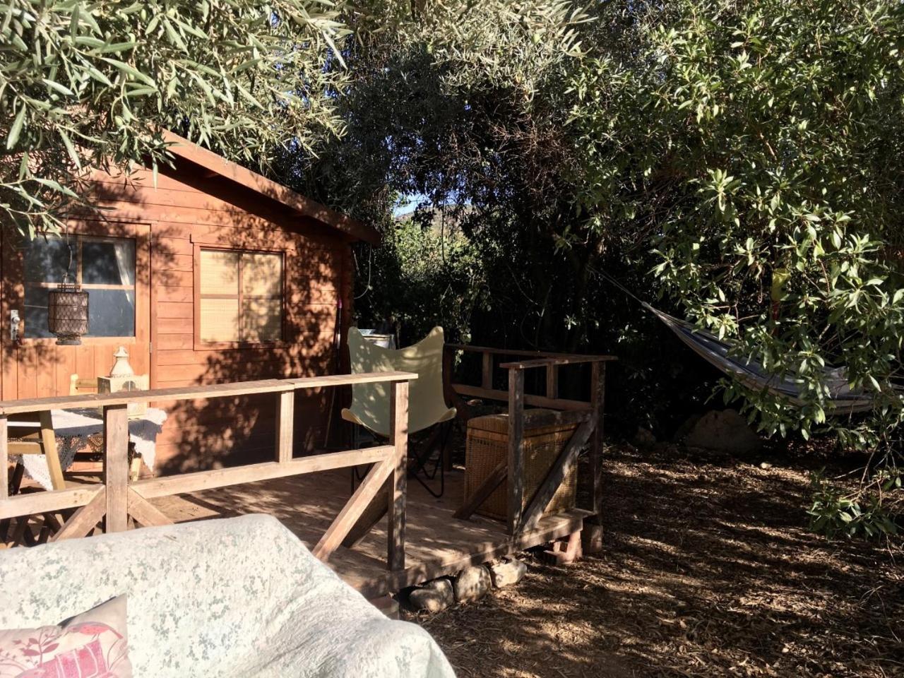 Finca Fahala Cártama Exteriér fotografie