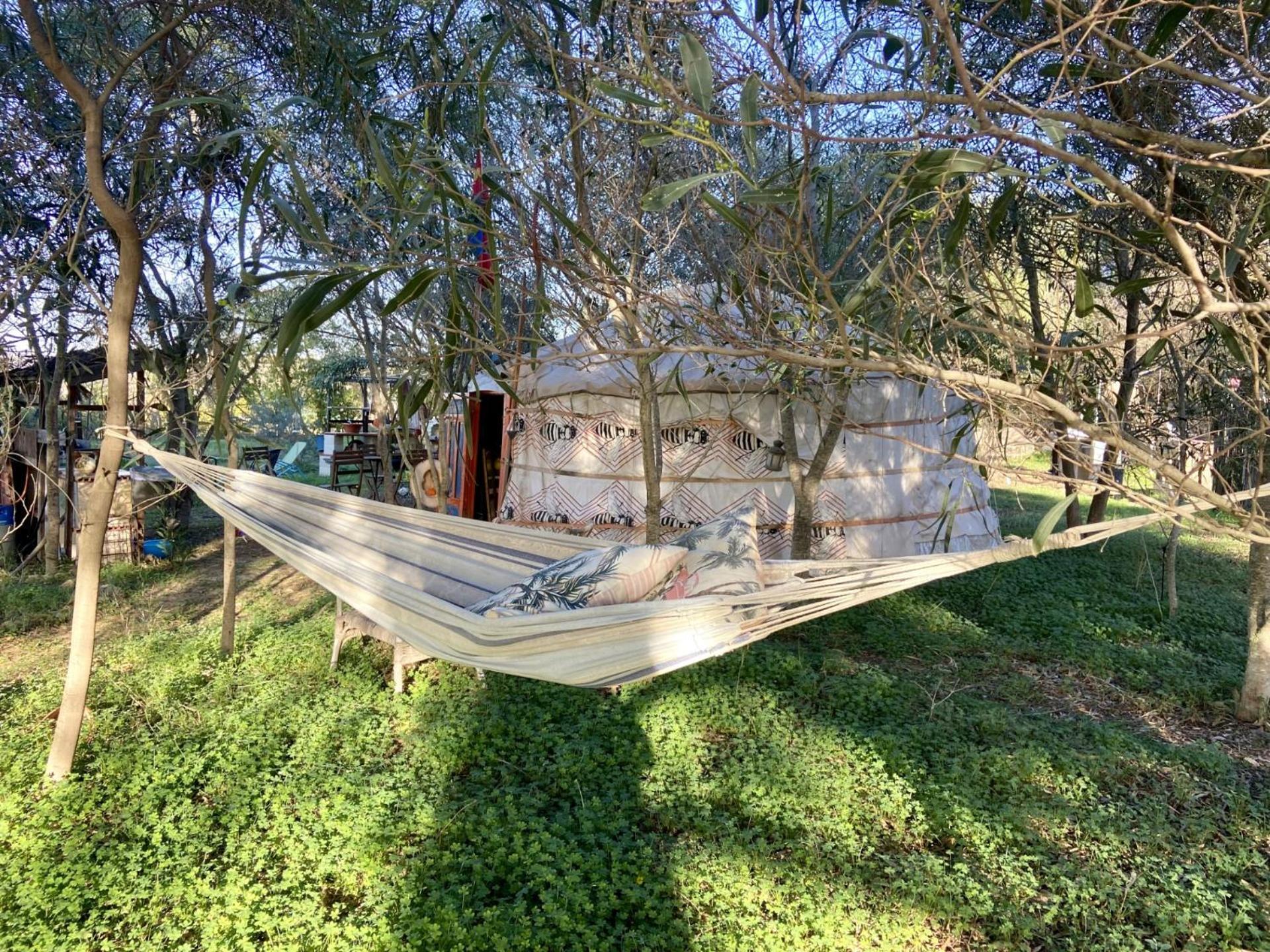 Finca Fahala Cártama Exteriér fotografie